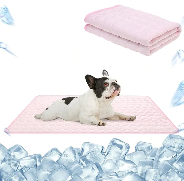 📢📢40% OFF !! ⏰Premium Cooling Mat For Pet