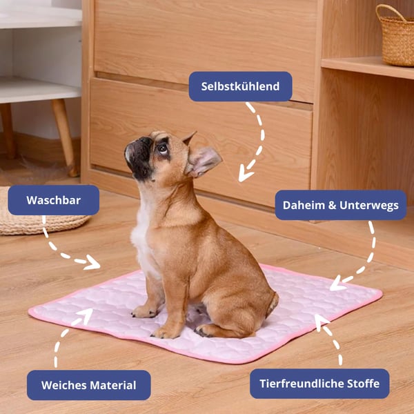 📢📢40% OFF !! ⏰Premium Cooling Mat For Pet