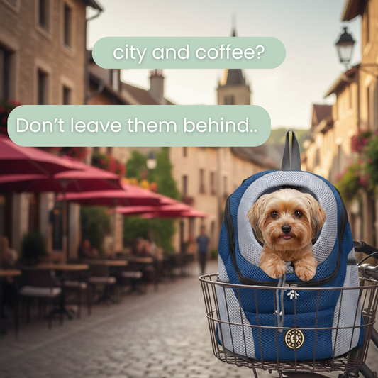 ✨Pet Carrier Bag - Portable Travel Backpack