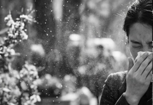 Pollen, Dust & Seasonal Allergens