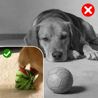 🐶Orange Hide-and-Seek Plush Dog Toys