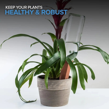 🔥Modern Innovations Self-Watering Terracotta Spikes