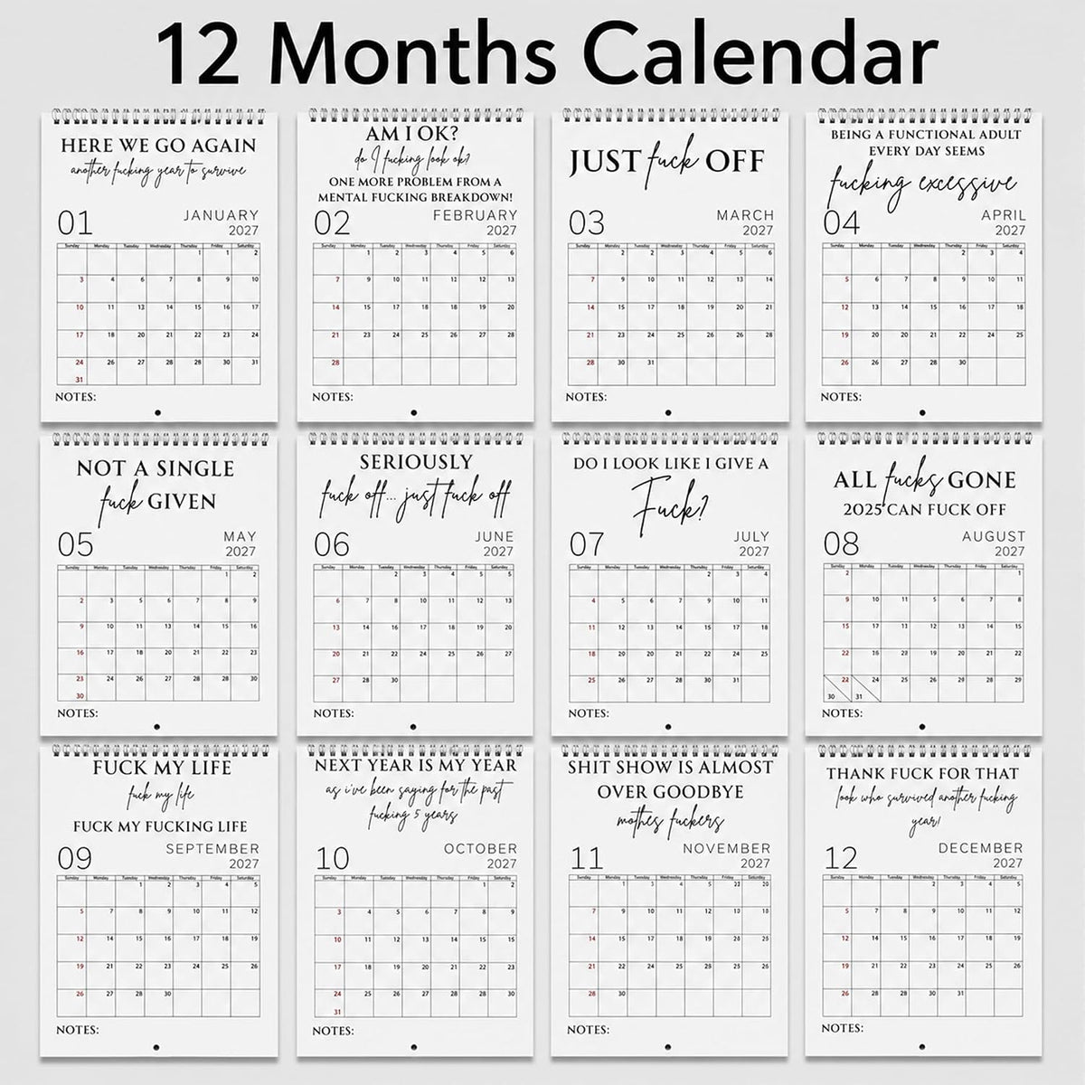 🥳2026 HOT SALE🥳💞50K+ SOLD!-Fuck It Calendar 2027, Funny Sweary Wall Calendar