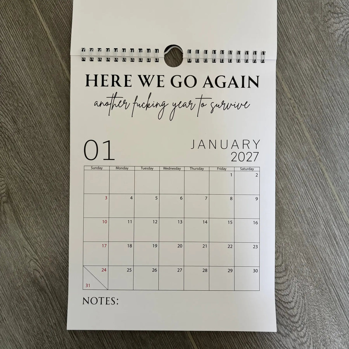 🥳2026 HOT SALE🥳💞50K+ SOLD!-Fuck It Calendar 2027, Funny Sweary Wall Calendar