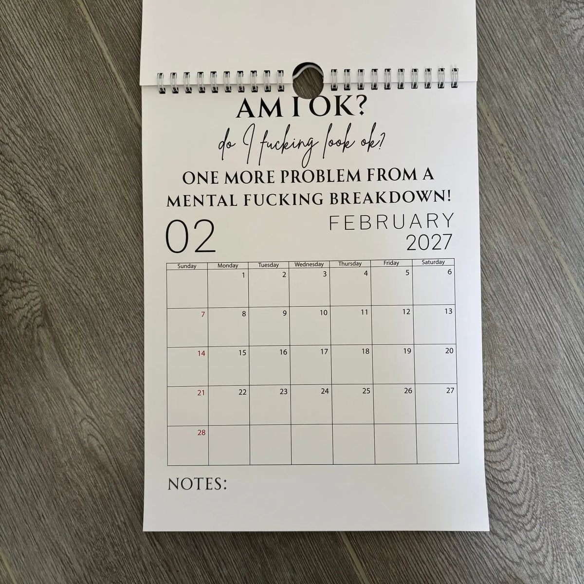 🥳2026 HOT SALE🥳💞50K+ SOLD!-Fuck It Calendar 2027, Funny Sweary Wall Calendar