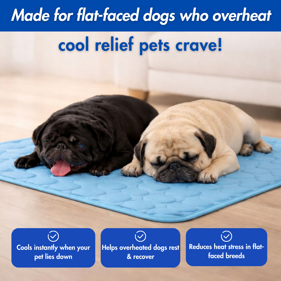 Dog Cooling Mat Light Comfortable Summer Sleeping Pad Machine Washable Quick Drying Pet Mattress For Dogs Cats