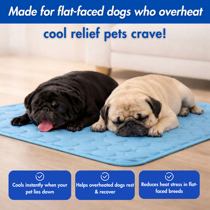 Dog Cooling Mat Light Comfortable Summer Sleeping Pad Machine Washable Quick Drying Pet Mattress For Dogs Cats