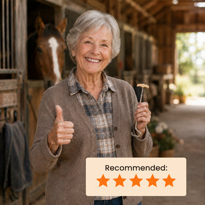👞🐎 Step Into Comfort — Horse-Shaped Shoe Horn Hook