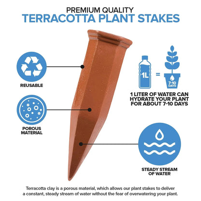 🔥Modern Innovations Self-Watering Terracotta Spikes
