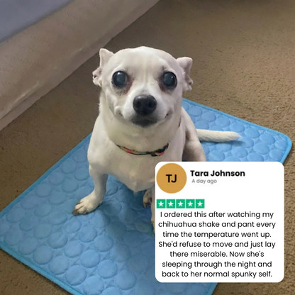 Dog Cooling Mat Light Comfortable Summer Sleeping Pad Machine Washable Quick Drying Pet Mattress For Dogs Cats