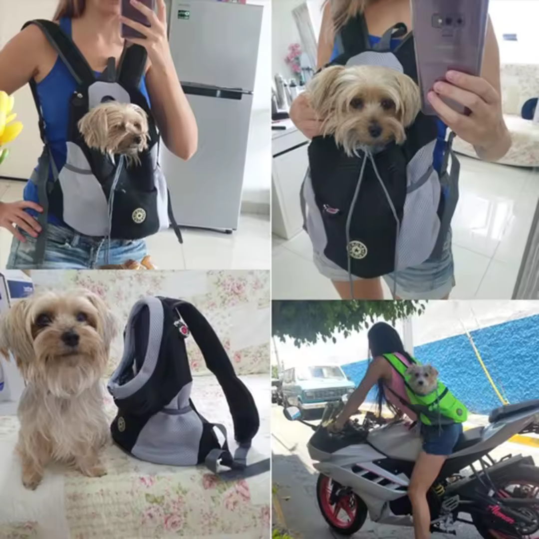✨Pet Carrier Bag - Portable Travel Backpack