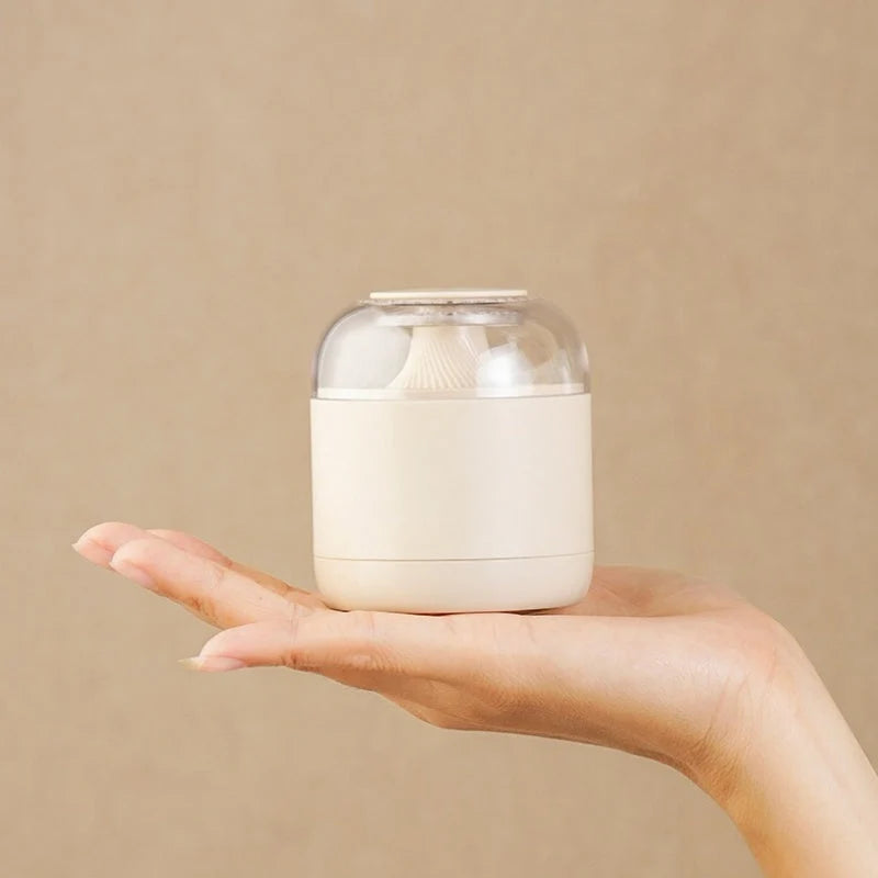 Compartmentalized Magnetic Suction Lint Remover