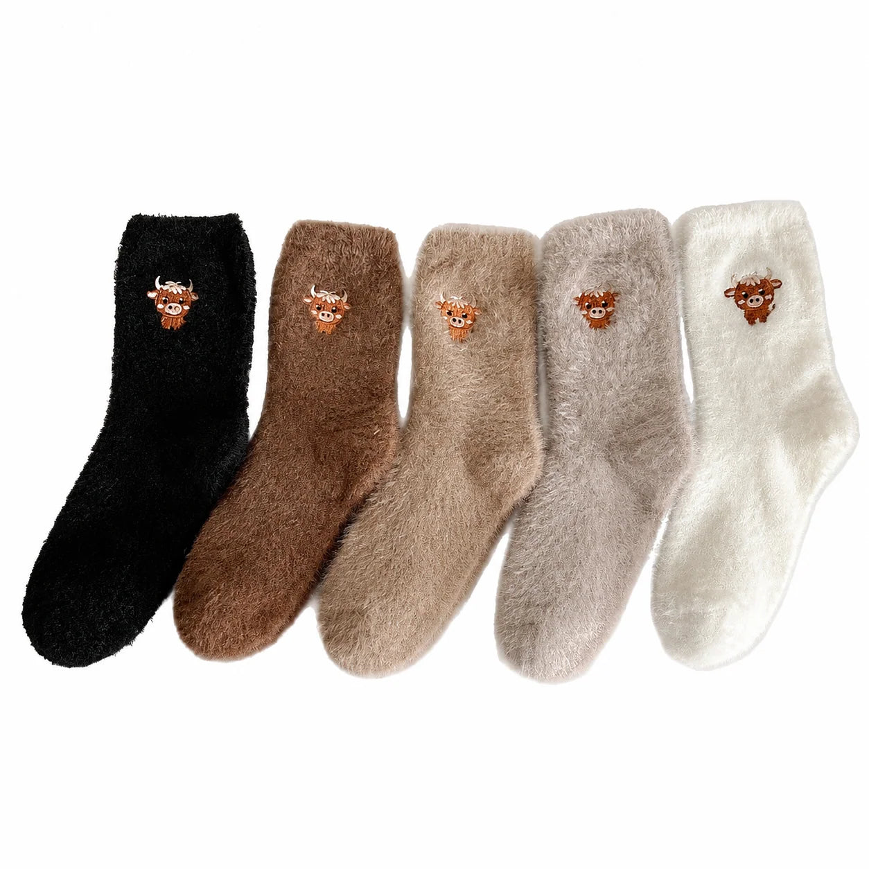 1 set(5 pairs)