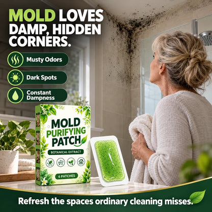 🧪 6Pcs Mold Purifying Patches – Botanical Mildew Removal Pads, Long Lasting Mold Inhibitor for Bathroom, Kitchen, Wall Corners & Damp Hidden Spots