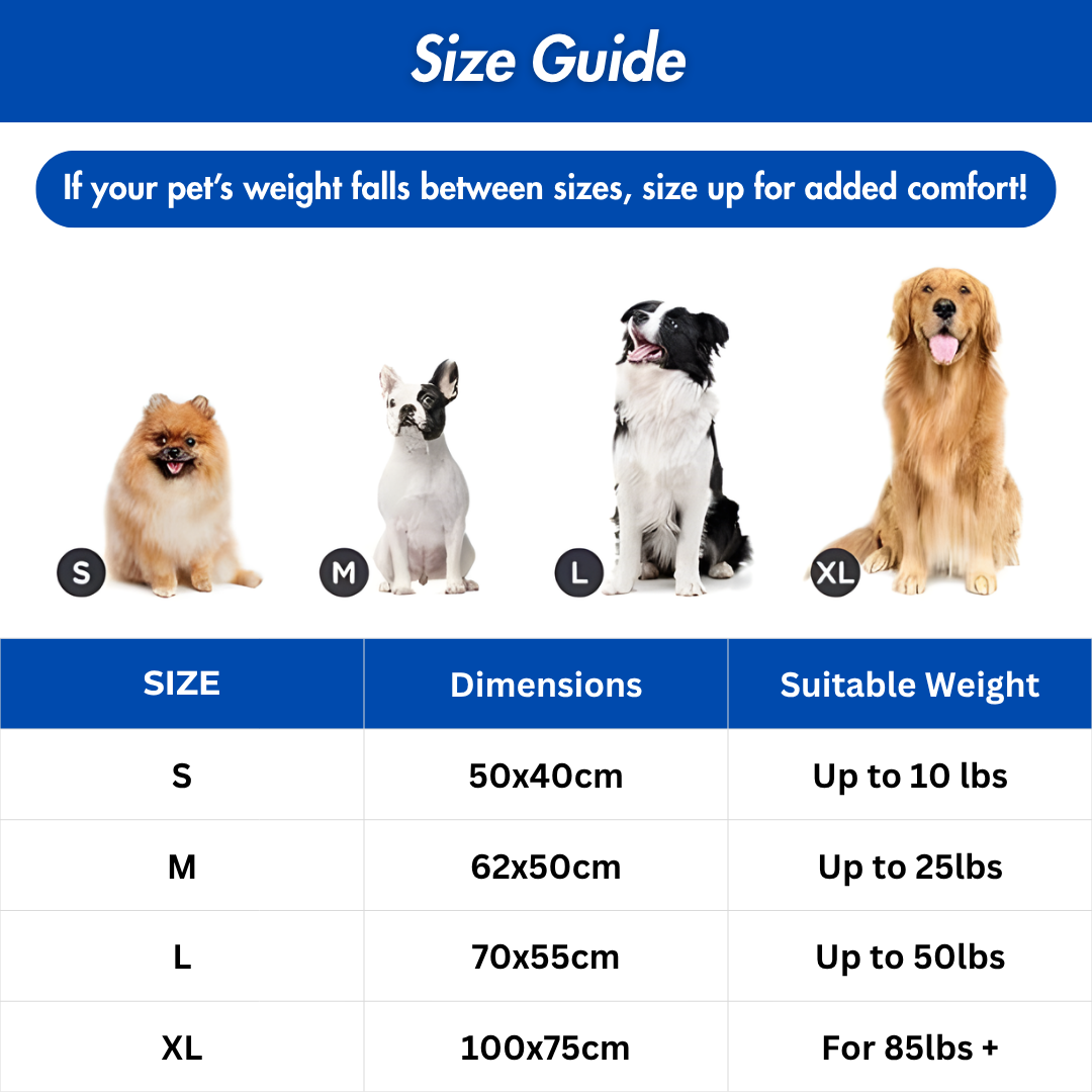 Dog Cooling Mat Light Comfortable Summer Sleeping Pad Machine Washable Quick Drying Pet Mattress For Dogs Cats