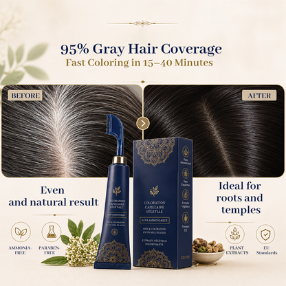 🔥 Limited-Time 49% Off –Herbal Hair Dye Comb for Home Use