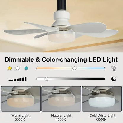 ⚡50K+ SOLD!🍃40W LED Ceiling Fan Light – 20.5” Ultra-Quiet 🎯  | For Bedroom 😴, Kitchen 👩‍🍳 & Garage 🛠️