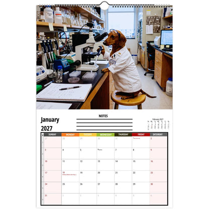 ✨ Funny Dachshund Wall Calendar 2027