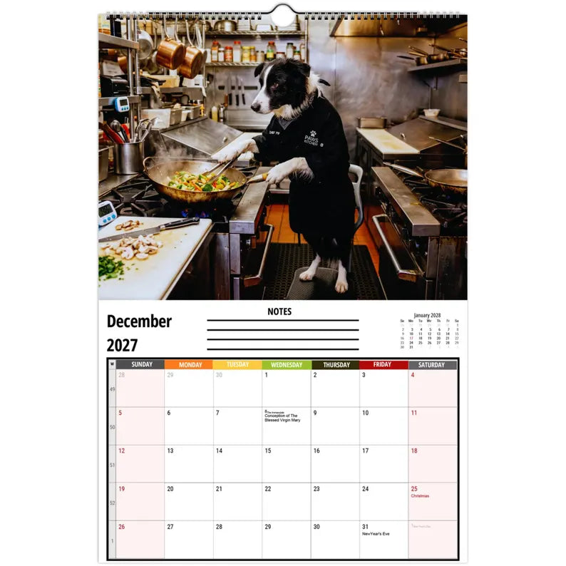 Funny Border Collie Wall Calendar 2027