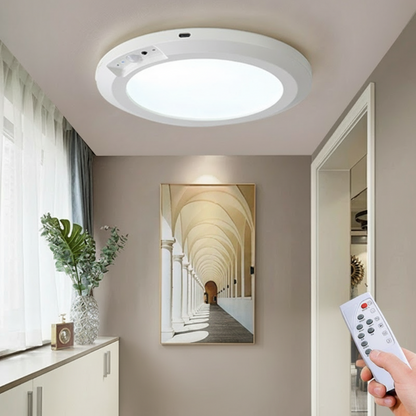 Magnetic Ceiling Light With Motion Sensor And Remote Control