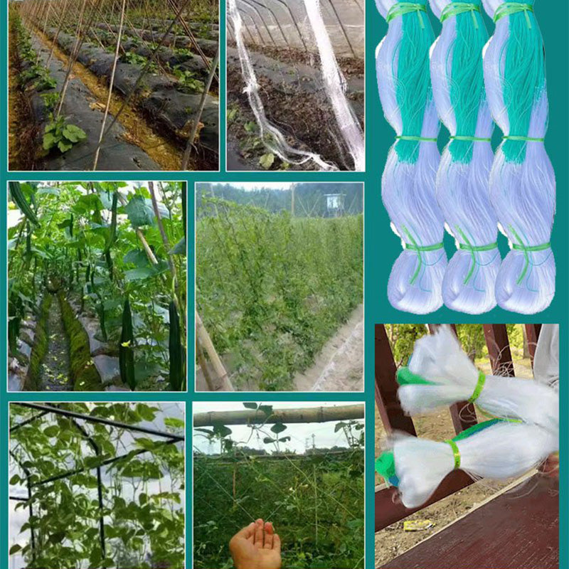 🌱 LIMITED-TIME 30% OFF! ✨ Garden Climbing Plant Net – Durable Support, Easy Install, Vertical Growth 🍅