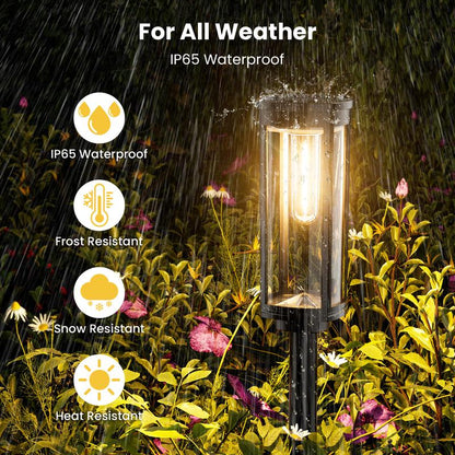 ☀️  Solar Pathway Lights Outdoor