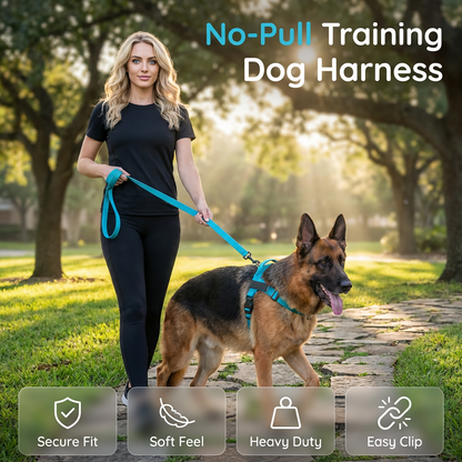 💐49% OFF ! No-Pull Padded Dog Harness – Easy On/Off in Seconds 🐕✨【Limited Offer】