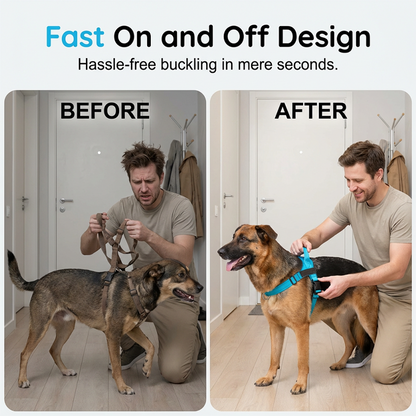 💐49% OFF ! No-Pull Padded Dog Harness – Easy On/Off in Seconds 🐕✨【Limited Offer】