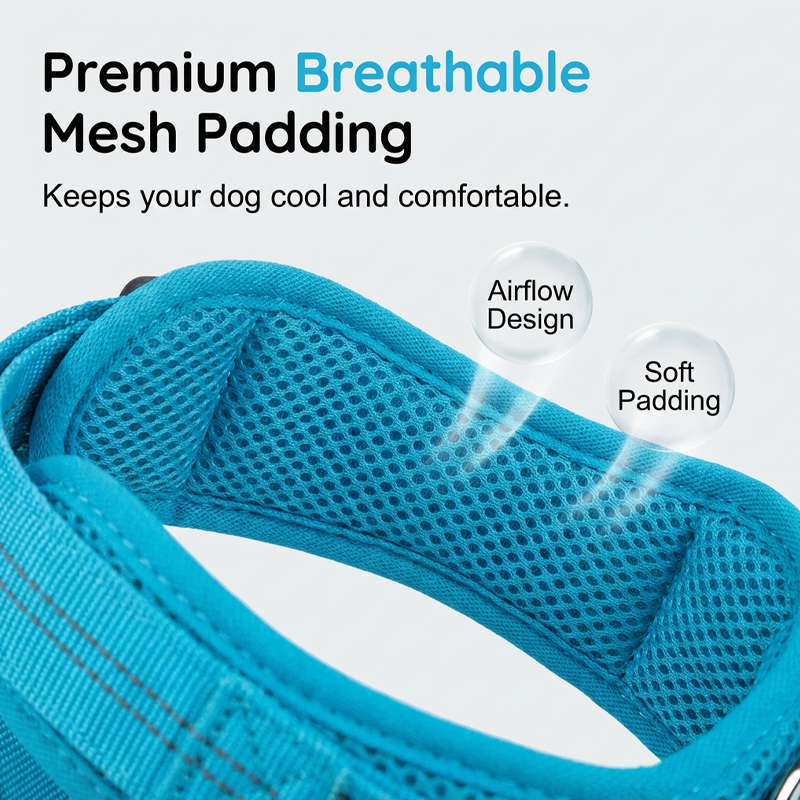 💐49% OFF ! No-Pull Padded Dog Harness – Easy On/Off in Seconds 🐕✨【Limited Offer】