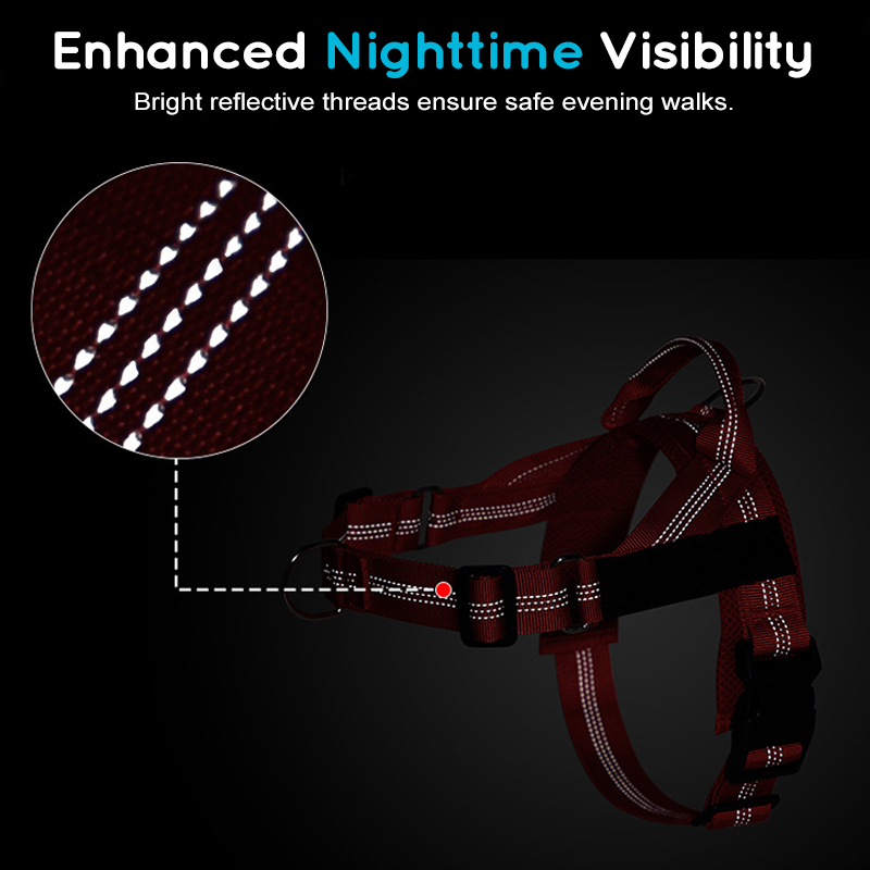 💐49% OFF ! No-Pull Padded Dog Harness – Easy On/Off in Seconds 🐕✨【Limited Offer】