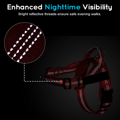 💐49% OFF ! No-Pull Padded Dog Harness – Easy On/Off in Seconds 🐕✨【Limited Offer】