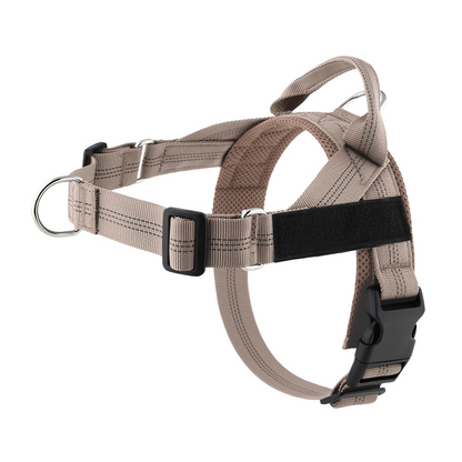 💐49% OFF ! No-Pull Padded Dog Harness – Easy On/Off in Seconds 🐕✨【Limited Offer】