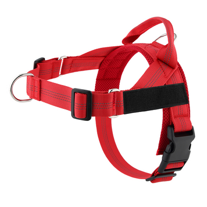 💐49% OFF ! No-Pull Padded Dog Harness – Easy On/Off in Seconds 🐕✨【Limited Offer】