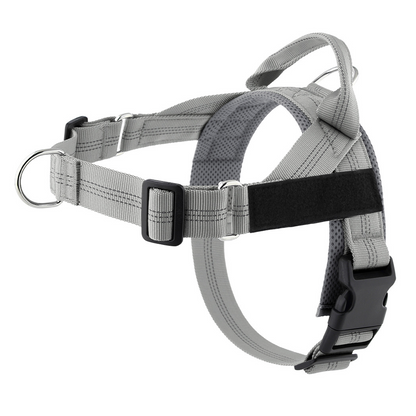 💐49% OFF ! No-Pull Padded Dog Harness – Easy On/Off in Seconds 🐕✨【Limited Offer】