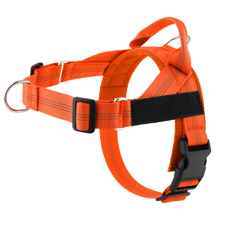 💐49% OFF ! No-Pull Padded Dog Harness – Easy On/Off in Seconds 🐕✨【Limited Offer】