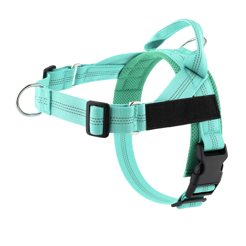 💐49% OFF ! No-Pull Padded Dog Harness – Easy On/Off in Seconds 🐕✨【Limited Offer】