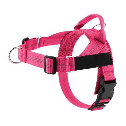 💐49% OFF ! No-Pull Padded Dog Harness – Easy On/Off in Seconds 🐕✨【Limited Offer】