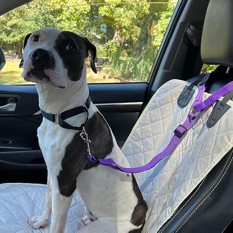 🎁2-in-1 Dog Car Seat Belt & Walking Leash