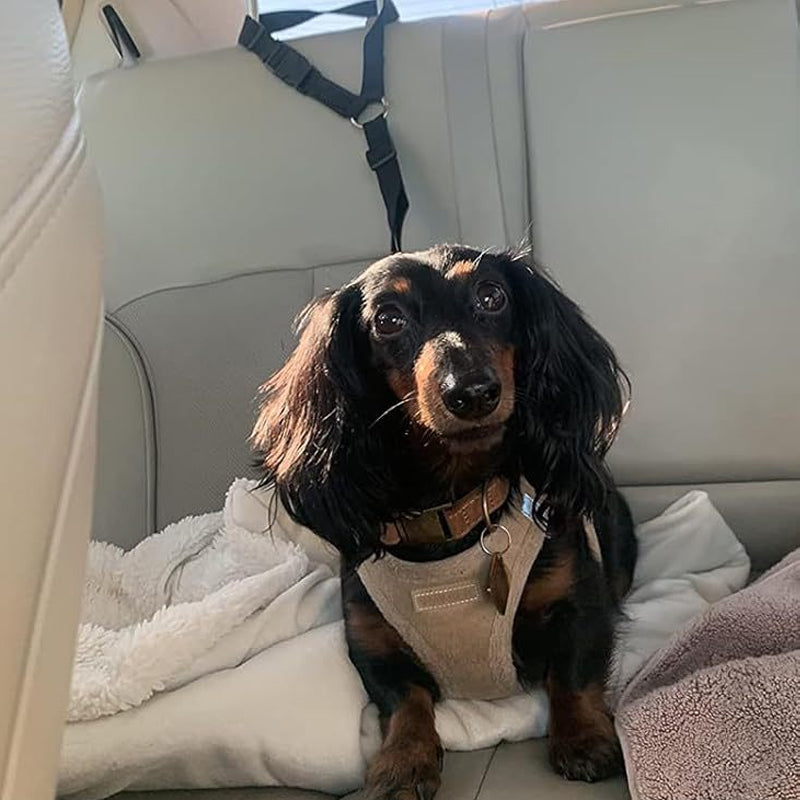 🎁2-in-1 Dog Car Seat Belt & Walking Leash