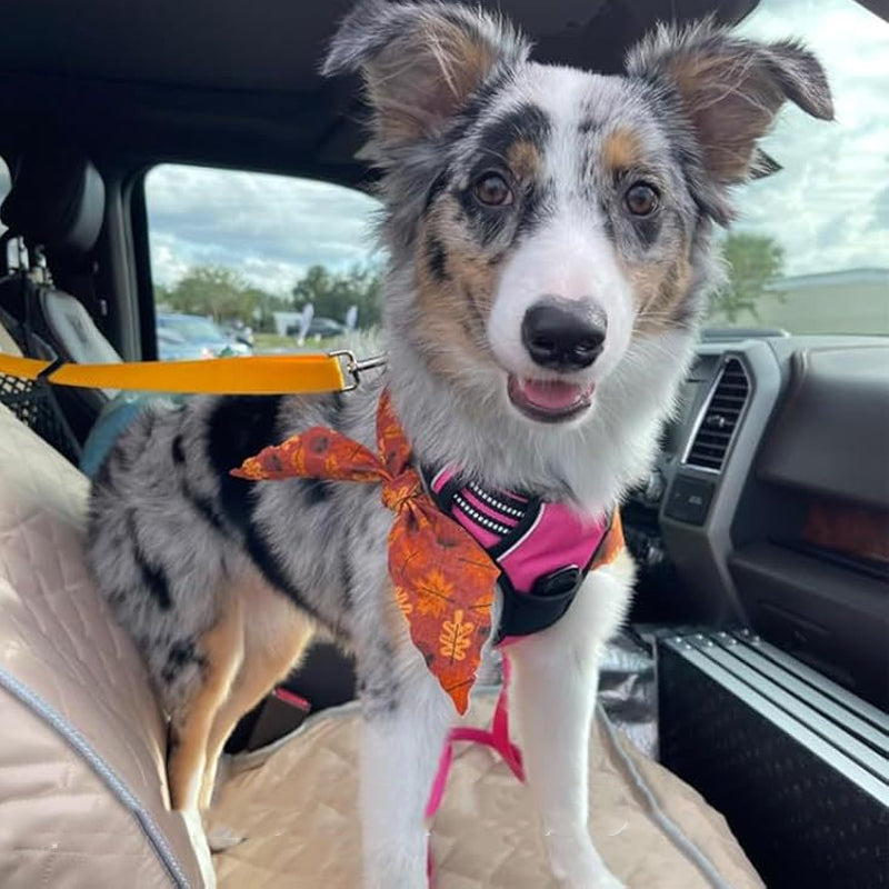 🎁2-in-1 Dog Car Seat Belt & Walking Leash