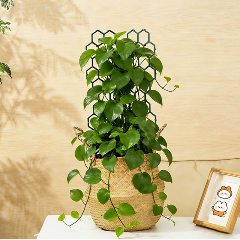🌿 LIMITED-TIME 30% OFF! ✨ Honeycomb Plant Trellis – Rust-Proof, Stackable, Easy Install 🐝