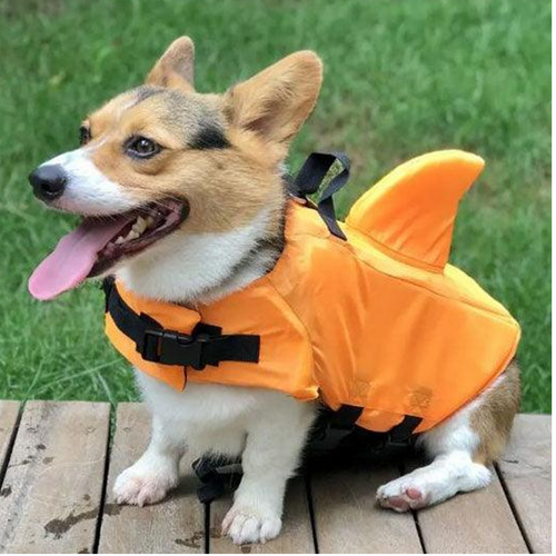 📢📢40% OFF !! ⏰ Adjustable Shark-Shaped Dog Life Vest – Your Pup Will Look Fin-Tastic! | Safety Float + Cute Design