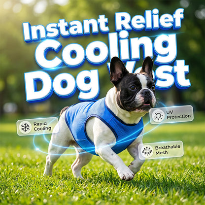 📢📢40% OFF !! ⏰🐶🐱❄️Cooling Dog Vest
