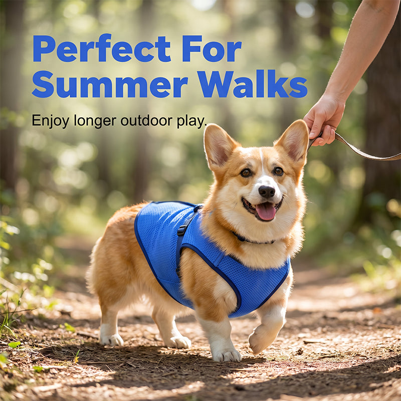 📢📢40% OFF !! ⏰🐶🐱❄️Cooling Dog Vest