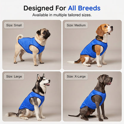 📢📢40% OFF !! ⏰🐶🐱❄️Cooling Dog Vest
