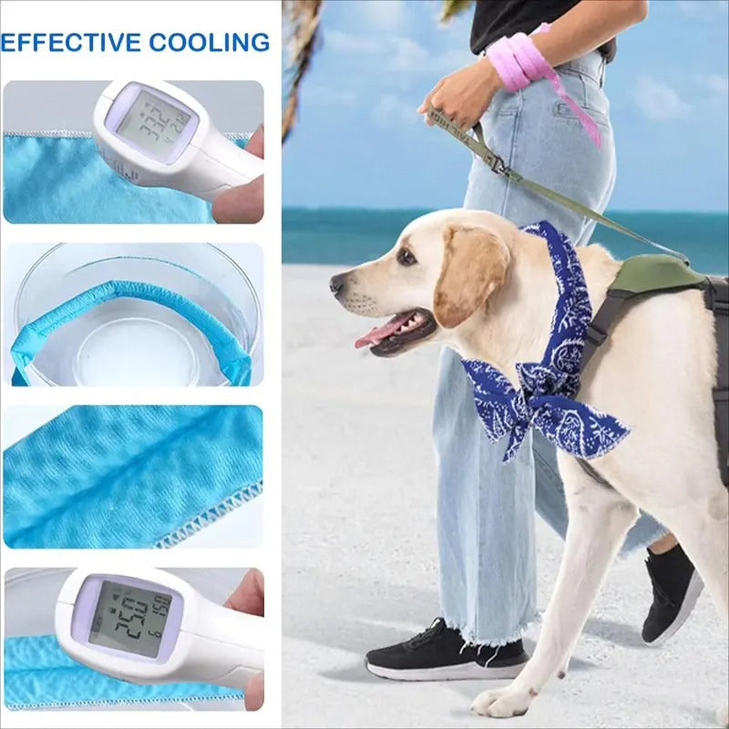🎀Cooling Collar – Summer Relief for Dogs & Cats 🌞❄️No Freezer Needed • Made for  Heatwaves!