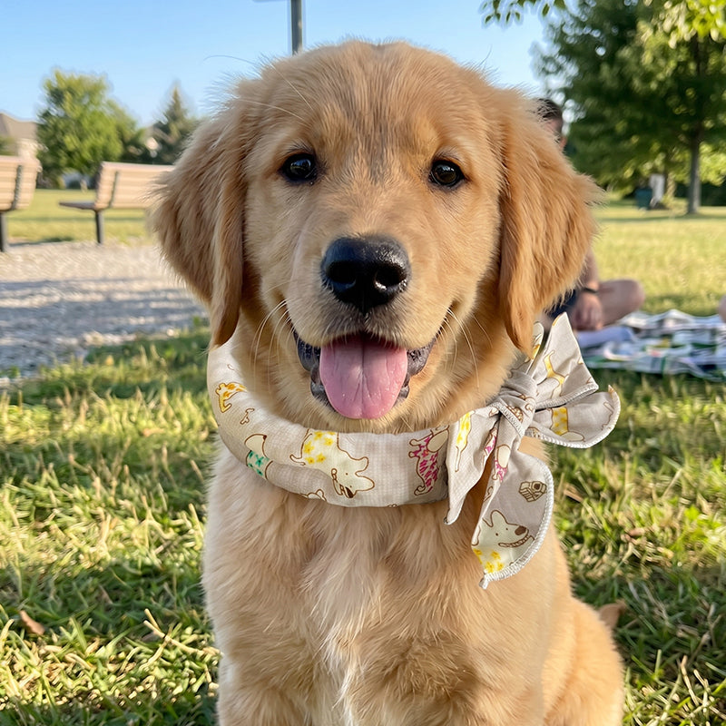 🎀Cooling Collar – Summer Relief for Dogs & Cats 🌞❄️No Freezer Needed • Made for  Heatwaves!
