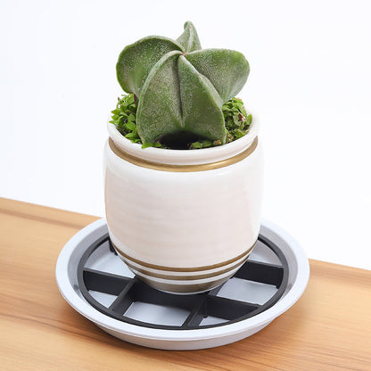 📢📢50% OFF !! ⏰Root-Saving Pot Riser – elevates planters, promotes airflow, keeps floors clean – for indoor & outdoor use. 🔥🏠