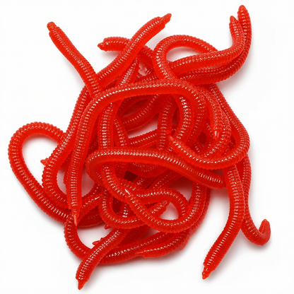 🎣 LIMITED-TIME 40% OFF! ✨ Simulation Earthworm Soft Fishing Lures – Scented, Lifelike, Durable 🌊