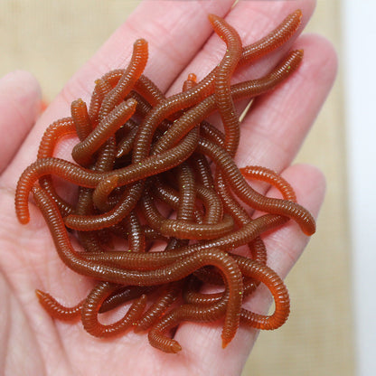 🎣 LIMITED-TIME 40% OFF! ✨ Simulation Earthworm Soft Fishing Lures – Scented, Lifelike, Durable 🌊